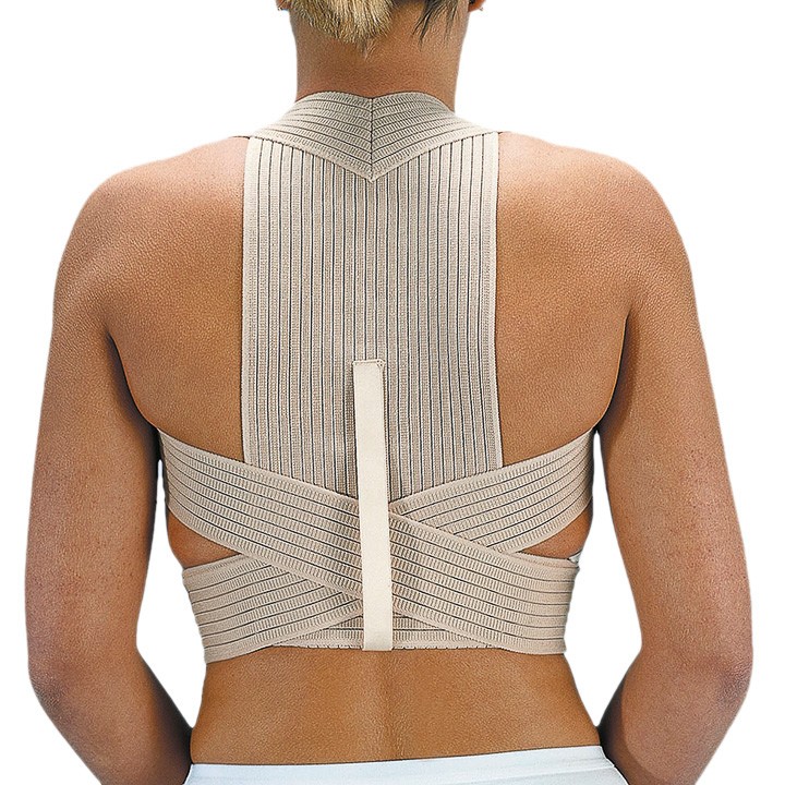 Imagen de Orliman espaldillera transpirable et210 talla 3