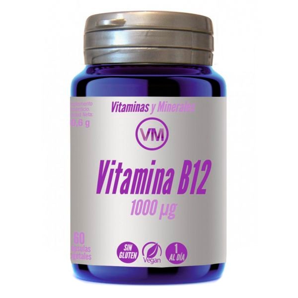 Imagen de Ynsadiet vitamina B12 1000u 60 capsulas