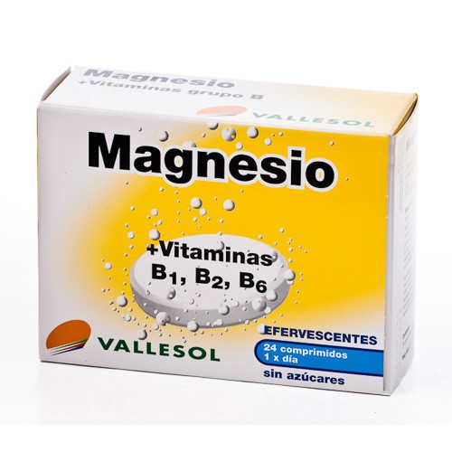 Imagen de VALLESOL MAGNESIO 24 COMP. EFERVESCENTES